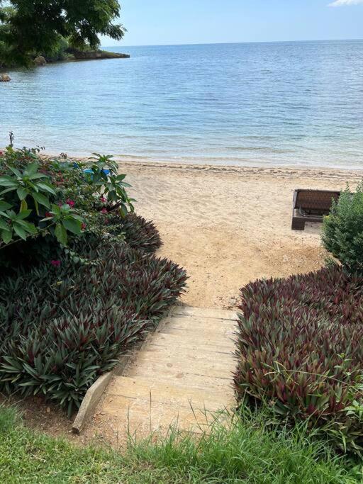 Ivy'S Cove Beach Side Condo - Luxury Villa Whitehouse Dış mekan fotoğraf
