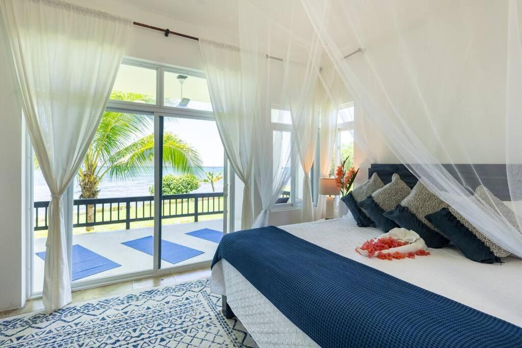 Ivy'S Cove Beach Side Condo - Luxury Villa Whitehouse Dış mekan fotoğraf